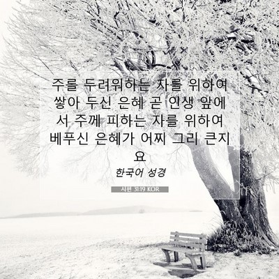 Picture 07 - 시편 31:19 KOR - 주를 두려워하는 자를 위하여 쌓아 - Bible Verse Picture
