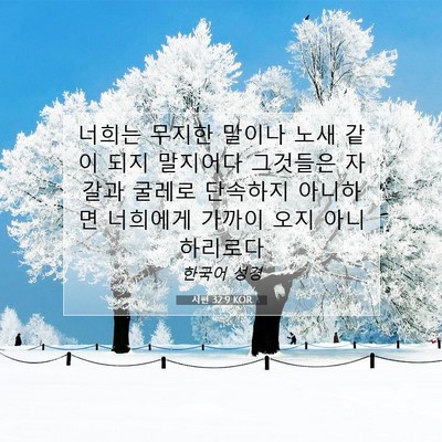 Picture 07 - 시편 32:9 KOR - 너희는 무지한 말이나 노새 같이 - Bible Verse Picture