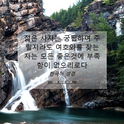 Picture 07 - 시편 34:10 KOR - 젊은 사자는 궁핍하여 주릴지라도 - Bible Verse Picture