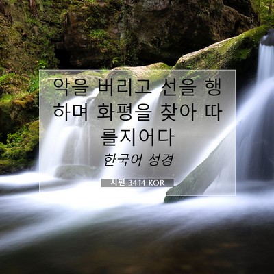 Picture 07 - 시편 34:14 KOR - 악을 버리고 선을 행하며 화평을 - Bible Verse Picture