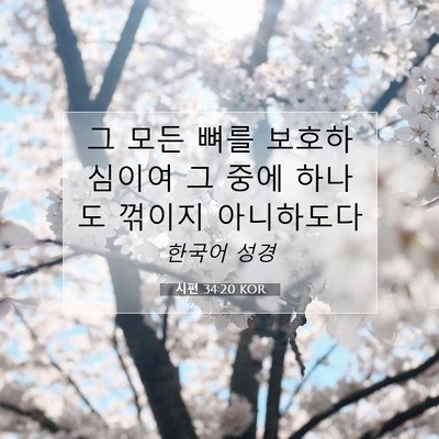 Picture 07 - 시편 34:20 KOR - 그 모든 뼈를 보호하심이여 그 중에 - Bible Verse Picture