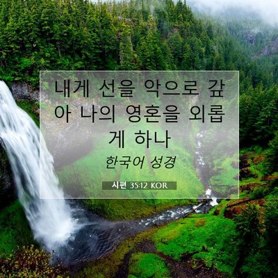 Picture 07 - 시편 35:12 KOR - 내게 선을 악으로 갚아 나의 영혼을 - Bible Verse Picture