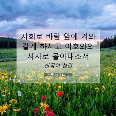 Picture 07 - 시편 35:5 KOR - 저희로 바람 앞에 겨와 같게 하시고 - Bible Verse Picture