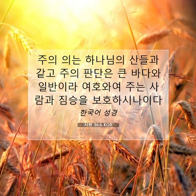 Picture 07 - 시편 36:6 KOR - 주의 의는 하나님의 산들과 같고 - Bible Verse Picture