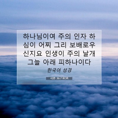 Picture 07 - 시편 36:7 KOR - 하나님이여 주의 인자 하심이 어찌 - Bible Verse Picture