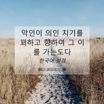 Picture 07 - 시편 37:12 KOR - 악인이 의인 치기를 꾀하고 향하여 - Bible Verse Picture