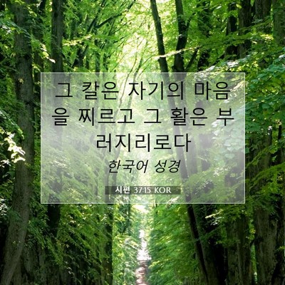 Picture 07 - 시편 37:15 KOR - 그 칼은 자기의 마음을 찌르고 그 - Bible Verse Picture