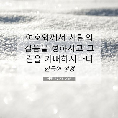 Picture 07 - 시편 37:23 KOR - 여호와께서 사람의 걸음을 정하시고 - Bible Verse Picture
