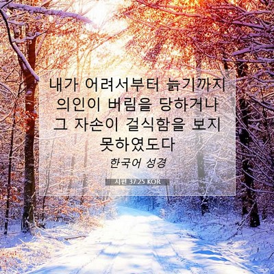 Picture 07 - 시편 37:25 KOR - 내가 어려서부터 늙기까지 의인이 - Bible Verse Picture