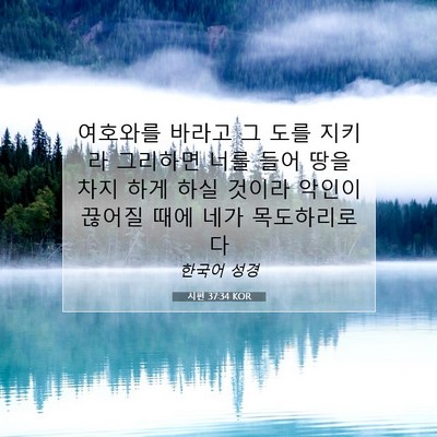 Picture 07 - 시편 37:34 KOR - 여호와를 바라고 그 도를 지키라 - Bible Verse Picture