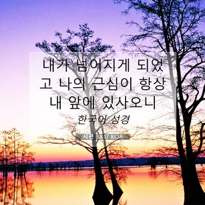 Picture 07 - 시편 38:17 KOR - 내가 넘어지게 되었고 나의 근심이 - Bible Verse Picture