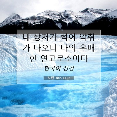 Picture 07 - 시편 38:5 KOR - 내 상처가 썩어 악취가 나오니 나의 - Bible Verse Picture