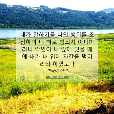 Picture 07 - 시편 39:1 KOR - 내가 말하기를 나의 행위를 조심하여 - Bible Verse Picture