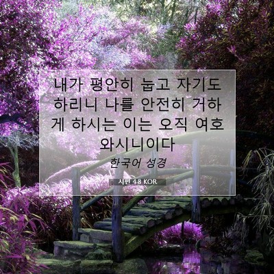 Picture 07 - 시편 4:8 KOR - 내가 평안히 눕고 자기도 하리니 - Bible Verse Picture