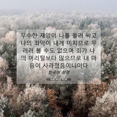 Picture 07 - 시편 40:12 KOR - 무수한 재앙이 나를 둘러 싸고 나의 - Bible Verse Picture