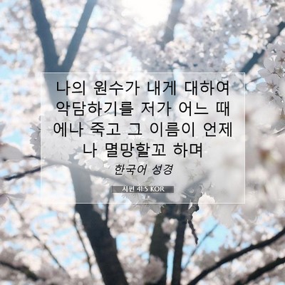 Picture 07 - 시편 41:5 KOR - 나의 원수가 내게 대하여 악담하기를 - Bible Verse Picture