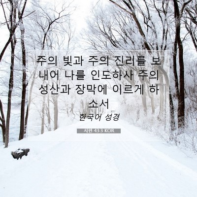 Picture 07 - 시편 43:3 KOR - 주의 빛과 주의 진리를 보내어 나를 - Bible Verse Picture
