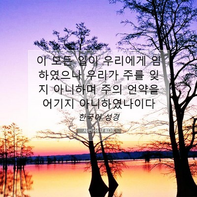 Picture 07 - 시편 44:17 KOR - 이 모든 일이 우리에게 임하였으나 - Bible Verse Picture