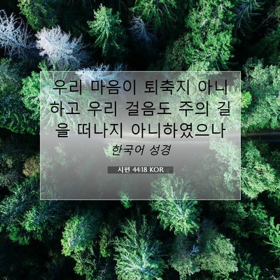 Picture 07 - 시편 44:18 KOR - 우리 마음이 퇴축지 아니하고 우리 - Bible Verse Picture
