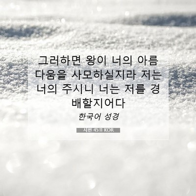 Picture 07 - 시편 45:11 KOR - 그러하면 왕이 너의 아름다움을 - Bible Verse Picture