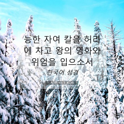 Picture 07 - 시편 45:3 KOR - 능한 자여 칼을 허리에 차고 왕의 - Bible Verse Picture
