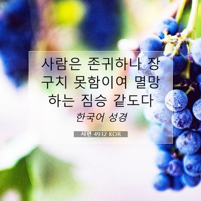 Picture 07 - 시편 49:12 KOR - 사람은 존귀하나 장구치 못함이여 - Bible Verse Picture