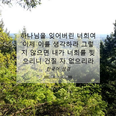 Picture 07 - 시편 50:22 KOR - 하나님을 잊어버린 너희여 이제 이를 - Bible Verse Picture