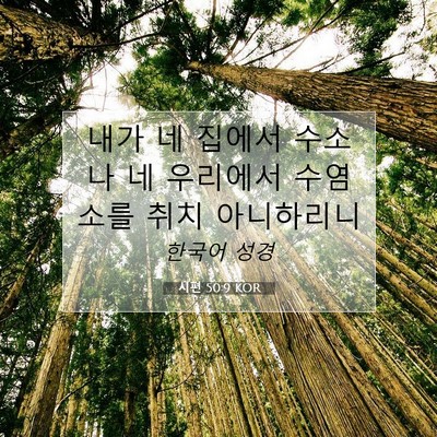 Picture 07 - 시편 50:9 KOR - 내가 네 집에서 수소나 네 우리에서 - Bible Verse Picture
