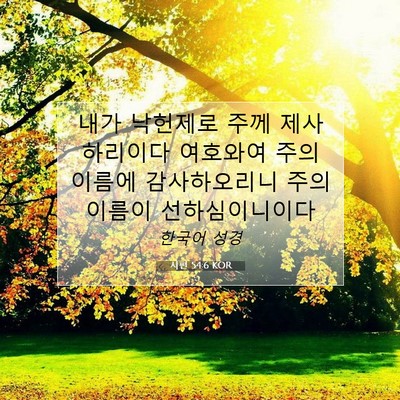 Picture 07 - 시편 54:6 KOR - 내가 낙헌제로 주께 제사하리이다 - Bible Verse Picture