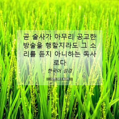 Picture 07 - 시편 58:5 KOR - 곧 술사가 아무리 공교한 방술을 - Bible Verse Picture