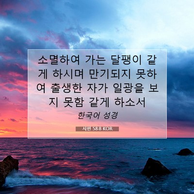 Picture 07 - 시편 58:8 KOR - 소멸하여 가는 달팽이 같게 하시며 - Bible Verse Picture