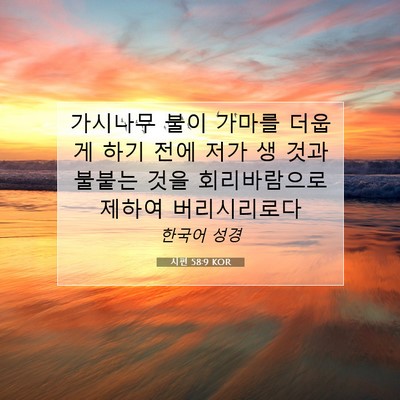 Picture 07 - 시편 58:9 KOR - 가시나무 불이 가마를 더웁게 하기 - Bible Verse Picture