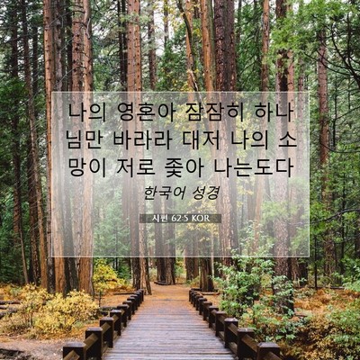 Picture 07 - 시편 62:5 KOR - 나의 영혼아 잠잠히 하나님만 바라라 - Bible Verse Picture