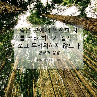 Picture 07 - 시편 64:4 KOR - 숨은 곳에서 완전한 자를 쏘려 - Bible Verse Picture