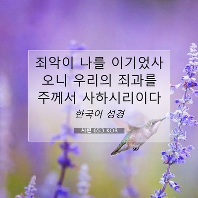 Picture 07 - 시편 65:3 KOR - 죄악이 나를 이기었사오니 우리의 - Bible Verse Picture