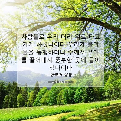 Picture 07 - 시편 66:12 KOR - 사람들로 우리 머리 위로 타고 가게 - Bible Verse Picture