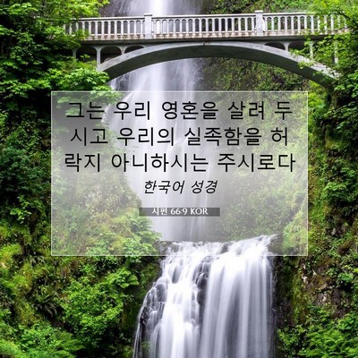 Picture 07 - 시편 66:9 KOR - 그는 우리 영혼을 살려 두시고 - Bible Verse Picture