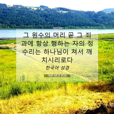 Picture 07 - 시편 68:21 KOR - 그 원수의 머리 곧 그 죄과에 항상 - Bible Verse Picture
