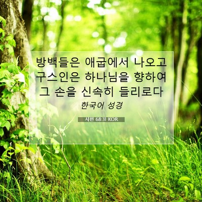 Picture 07 - 시편 68:31 KOR - 방백들은 애굽에서 나오고 구스인은 - Bible Verse Picture