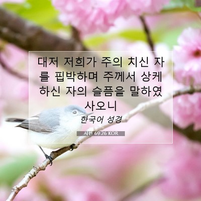 Picture 07 - 시편 69:26 KOR - 대저 저희가 주의 치신 자를 - Bible Verse Picture