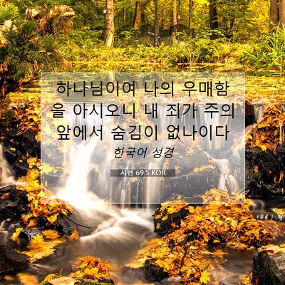 Picture 07 - 시편 69:5 KOR - 하나님이여 나의 우매함을 아시오니 - Bible Verse Picture