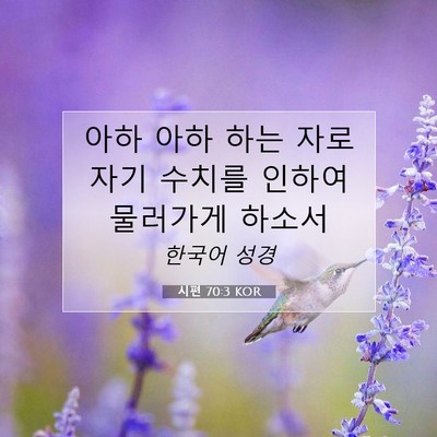 Picture 07 - 시편 70:3 KOR - 아하 아하 하는 자로 자기 수치를 - Bible Verse Picture