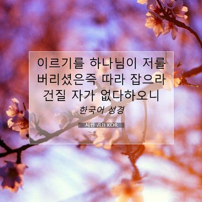 Picture 07 - 시편 71:11 KOR - 이르기를 하나님이 저를 버리셨은즉 - Bible Verse Picture