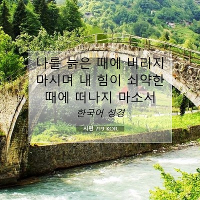 Picture 07 - 시편 71:9 KOR - 나를 늙은 때에 버리지 마시며 내 - Bible Verse Picture