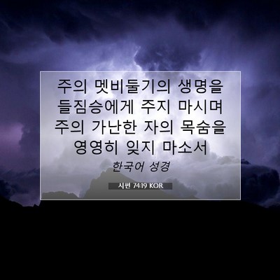 Picture 07 - 시편 74:19 KOR - 주의 멧비둘기의 생명을 들짐승에게 - Bible Verse Picture