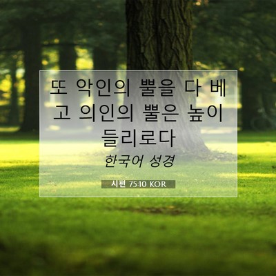 Picture 07 - 시편 75:10 KOR - 또 악인의 뿔을 다 베고 의인의 뿔은 - Bible Verse Picture