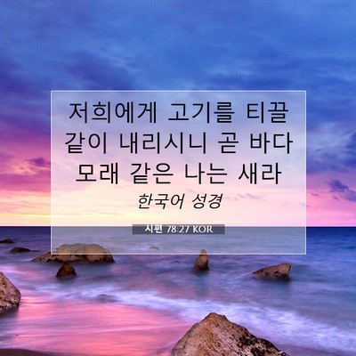 Picture 07 - 시편 78:27 KOR - 저희에게 고기를 티끌같이 내리시니 - Bible Verse Picture