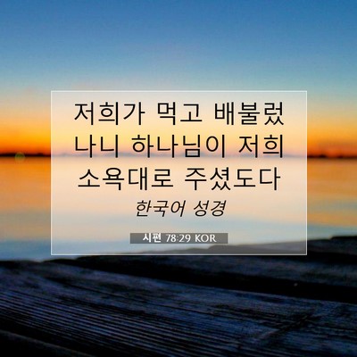 Picture 07 - 시편 78:29 KOR - 저희가 먹고 배불렀나니 하나님이 - Bible Verse Picture