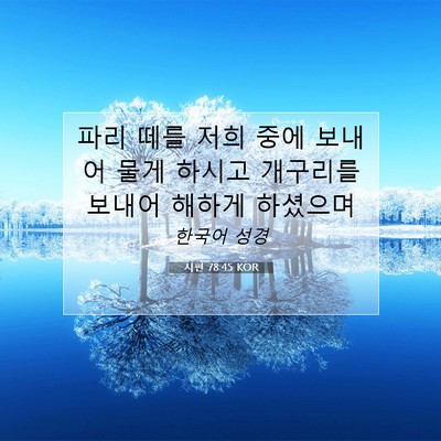 Picture 07 - 시편 78:45 KOR - 파리 떼를 저희 중에 보내어 물게 - Bible Verse Picture