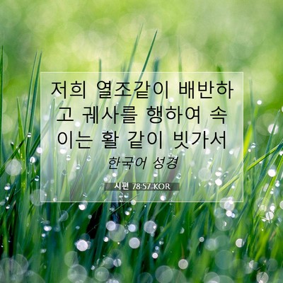 Picture 07 - 시편 78:57 KOR - 저희 열조같이 배반하고 궤사를 - Bible Verse Picture